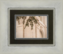 Load image into Gallery viewer, Salt Lake City Temple Even The Smallest Details

