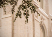 Load image into Gallery viewer, Salt Lake City Temple Even The Smallest Details
