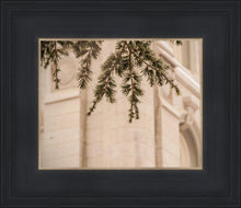 Load image into Gallery viewer, Salt Lake City Temple Even The Smallest Details

