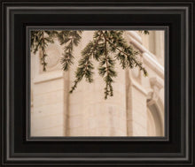 Load image into Gallery viewer, Salt Lake City Temple Even The Smallest Details
