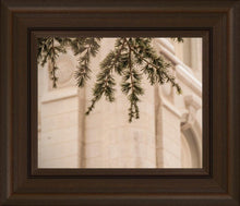 Load image into Gallery viewer, Salt Lake City Temple Even The Smallest Details
