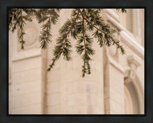 Load image into Gallery viewer, Salt Lake City Temple Even The Smallest Details Gallery Wrap
