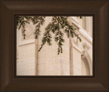 Load image into Gallery viewer, Salt Lake City Temple Even The Smallest Details
