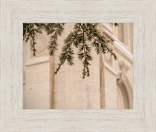 Load image into Gallery viewer, Salt Lake City Temple Even The Smallest Details
