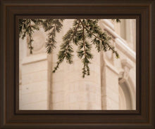 Load image into Gallery viewer, Salt Lake City Temple Even The Smallest Details
