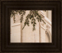 Load image into Gallery viewer, Salt Lake City Temple Even The Smallest Details
