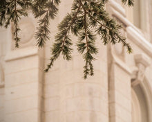 Load image into Gallery viewer, Salt Lake City Temple Even The Smallest Details Gallery Wrap
