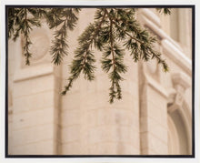 Load image into Gallery viewer, Salt Lake City Temple Even The Smallest Details Gallery Wrap
