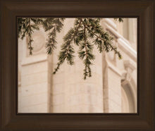 Load image into Gallery viewer, Salt Lake City Temple Even The Smallest Details
