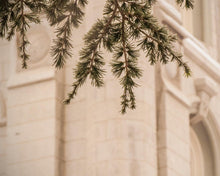 Load image into Gallery viewer, Salt Lake City Temple Even The Smallest Details
