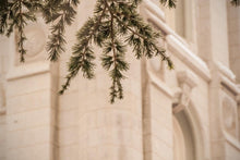 Load image into Gallery viewer, Salt Lake City Temple Even The Smallest Details Gallery Wrap
