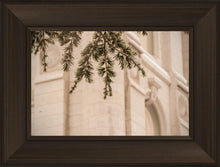 Load image into Gallery viewer, Salt Lake City Temple Even The Smallest Details
