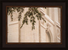 Load image into Gallery viewer, Salt Lake City Temple Even The Smallest Details
