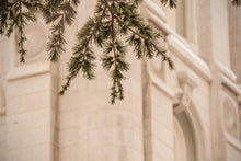 Load image into Gallery viewer, Salt Lake City Temple Even The Smallest Details
