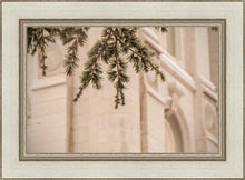 Load image into Gallery viewer, Salt Lake City Temple Even The Smallest Details
