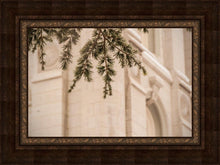 Load image into Gallery viewer, Salt Lake City Temple Even The Smallest Details
