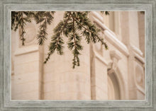 Load image into Gallery viewer, Salt Lake City Temple Even The Smallest Details
