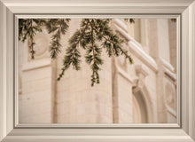Load image into Gallery viewer, Salt Lake City Temple Even The Smallest Details
