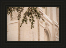 Load image into Gallery viewer, Salt Lake City Temple Even The Smallest Details
