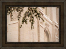 Load image into Gallery viewer, Salt Lake City Temple Even The Smallest Details
