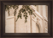 Load image into Gallery viewer, Salt Lake City Temple Even The Smallest Details
