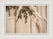 Load image into Gallery viewer, Salt Lake City Temple Even The Smallest Details
