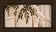 Load image into Gallery viewer, Salt Lake City Temple Even The Smallest Details
