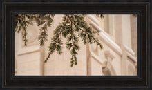 Load image into Gallery viewer, Salt Lake City Temple Even The Smallest Details
