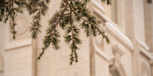 Load image into Gallery viewer, Salt Lake City Temple Even The Smallest Details
