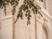 Load image into Gallery viewer, Salt Lake City Temple Even The Smallest Details

