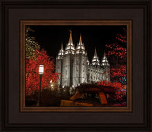 Load image into Gallery viewer, Salt Lake City Temple Lights Aglow
