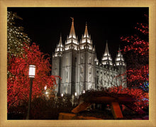Load image into Gallery viewer, Salt Lake City Temple Lights Aglow
