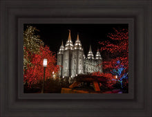 Load image into Gallery viewer, Salt Lake City Temple Lights Aglow
