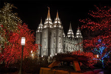 Load image into Gallery viewer, Salt Lake City Temple Lights Aglow Gallery Wrap
