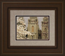 Load image into Gallery viewer, Salt Lake City Temple The Promise
