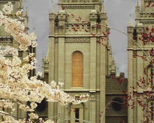 Load image into Gallery viewer, Salt Lake City Temple The Promise Gallery Wrap
