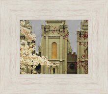Load image into Gallery viewer, Salt Lake City Temple The Promise
