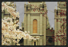 Load image into Gallery viewer, Salt Lake City Temple The Promise Gallery Wrap
