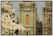 Load image into Gallery viewer, Salt Lake City Temple The Promise Gallery Wrap
