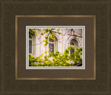 Load image into Gallery viewer, Salt Lake City Temple Windows Of Eternity

