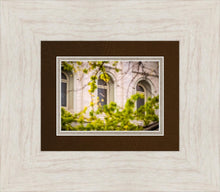 Load image into Gallery viewer, Salt Lake City Temple Windows Of Eternity
