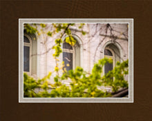 Load image into Gallery viewer, Salt Lake City Temple Windows Of Eternity
