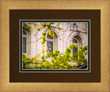Load image into Gallery viewer, Salt Lake City Temple Windows Of Eternity
