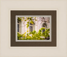 Load image into Gallery viewer, Salt Lake City Temple Windows Of Eternity
