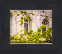 Load image into Gallery viewer, Salt Lake City Temple Windows Of Eternity

