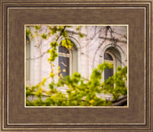 Load image into Gallery viewer, Salt Lake City Temple Windows Of Eternity
