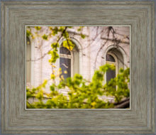 Load image into Gallery viewer, Salt Lake City Temple Windows Of Eternity
