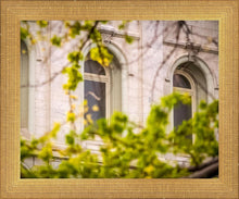 Load image into Gallery viewer, Salt Lake City Temple Windows Of Eternity
