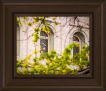 Load image into Gallery viewer, Salt Lake City Temple Windows Of Eternity
