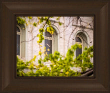 Load image into Gallery viewer, Salt Lake City Temple Windows Of Eternity
